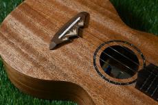 TODO MUSIC UTD-B10C Concert_10