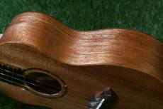 TODO MUSIC UTD-B10C Concert_14