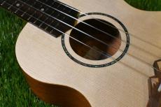 TODO MUSIC UTD-B20C Concert_9