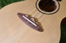 TODO MUSIC UTD-B20C Concert_11