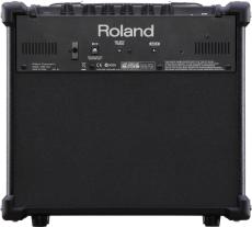 Roland CUBE-10GX Guitar Amplifier_3