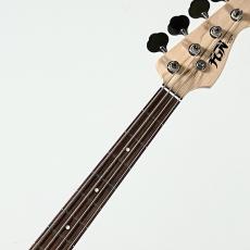 FUJIGEN NPB100RAL【4.19Kg】_9
