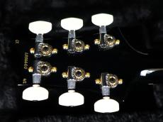 Paul Reed Smith [PRS] Custom 24-08 10top Emerald Green 2024_9