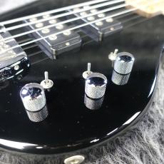 G&L Tribute L-2000_9