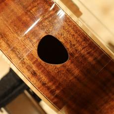 L.Luthier Aca EQ Tenor_10