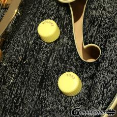 D'Angelico Excel Series Excel 59 Shield Tremolo, Black Dog_8