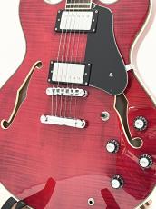 Sire H7 / See Through Red【ラリー・カールトン監修!!】_3