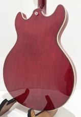 Sire H7 / See Through Red【ラリー・カールトン監修!!】_6