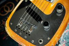 Fender Champ Lap Steel guitar_3