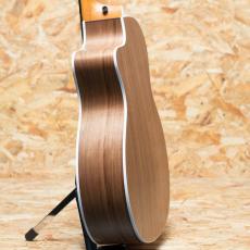 Taylor 214ce Walnut_5