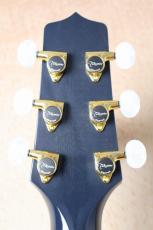 Takamine 【限定品・イチオシカラー】CTM PTU141C CBG##63060286【春のビックセール・5/10(日)まで】【G-CLUB UMEDA】_7