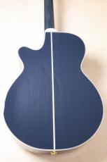 Takamine 【限定品・イチオシカラー】CTM PTU141C CBG##63060286【春のビックセール・5/10(日)まで】【G-CLUB UMEDA】_9