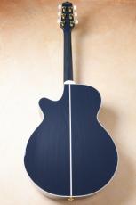 Takamine 【限定品・イチオシカラー】CTM PTU141C CBG##63060286【春のビックセール・5/10(日)まで】【G-CLUB UMEDA】_10
