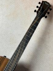 Taylor 【1本限定モデル!!】Custom GA #13027 cocobolo/Shinker 【春のビックセール・5/10(日)まで】【G-CLUB UMEDA】_4