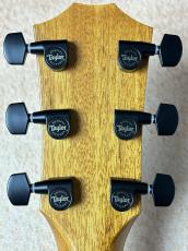 Taylor 【試奏動画あり】Custom GA #13031 UrbanAsh【春のビックセール・5/10(日)まで】【G-CLUB UMEDA】_6