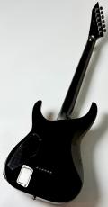E-II HORIZON NT-II -Tiger Eye Amber Fade- #ES3872243【3.78kg】【G-CLUB UMEDA】_9