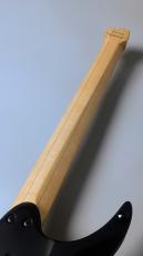 strandberg Boden Standard NX 6 Natural  S/N C2505489 【良杢個体】【2.06.kg】【G-CLUB UMEDA】_7