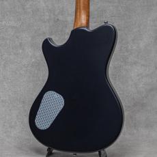 Powers Electric A-Type Select Maple / PF42 / Camtail / Blue Lagoon_6