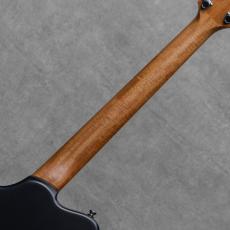 Powers Electric A-Type Select Maple / PF42 / Camtail / Blue Lagoon_8