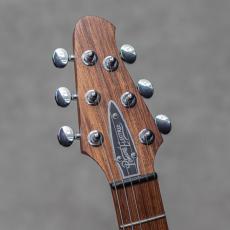 Powers Electric A-Type Select Maple / PF42 / Camtail / Blue Lagoon_9