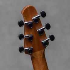 Powers Electric A-Type Select Maple / PF42 / Camtail / Blue Lagoon_10