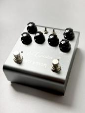 strymon El Capistan V2 【d Tape Echo】_2
