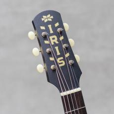 IRIS GUITAR COMPANY The BB Model Adirondack Spruce Tobacco Burst_9