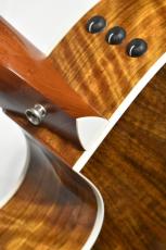 Taylor 【クロサワ横浜店】【2021年製 中古】【良杢】414ce V-Class Ovangkol 【48回無金利分割可能】_8