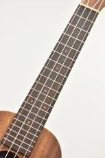 Pupukea 【クロサワ横浜店】【チョイキズ特価品】UF-C40-AK 【日本製】【コア単板/ギアペグ】_7