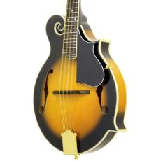 ARIA AM-40 　Mandolin　マイク搭載!!ハードケース付き　アンプに繋げる　アリア　　マンドリン　【　Electric Bluegrass F Mandorin　】Fタイプモデル　 F-model Mandolin 《マンドリン》_9