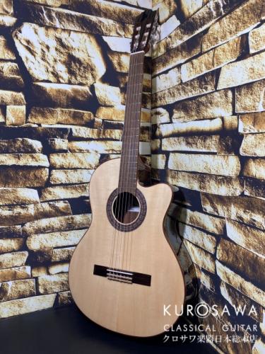 Paco Castillo パコ・カスティージョ 222CE 松・サペリ Narrow Neck【日本総本店2F在庫品】