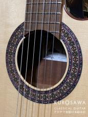 Paco Castillo パコ・カスティージョ 222CE 松・サペリ Narrow Neck【日本総本店2F在庫品】_3
