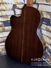 Paco Castillo パコ・カスティージョ 222CE 松・サペリ Narrow Neck【日本総本店2F在庫品】_5