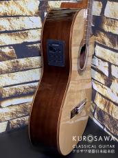 Paco Castillo パコ・カスティージョ 222CE 松・サペリ Narrow Neck【日本総本店2F在庫品】_7