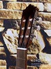 Paco Castillo パコ・カスティージョ 222CE 松・サペリ Narrow Neck【日本総本店2F在庫品】_8