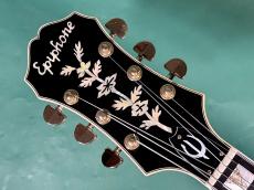 Epiphone EMPEROR S_5