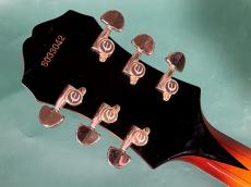 Epiphone EMPEROR S_6