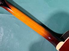 Epiphone EMPEROR S_8