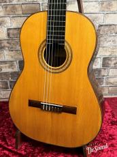 ロビン・グリーン Robin Green 【GW版お茶の水大楽器祭 目玉品】 1980年製_3