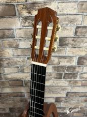 ロビン・グリーン Robin Green 【GW版お茶の水大楽器祭 目玉品】 1980年製_7