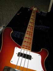 Rickenbacker 1983 #4003 FG_4
