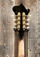 Gibson F-5 Sam Bush '01_8