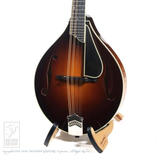 Collings MT2 w/PG【48回無金利対象品】