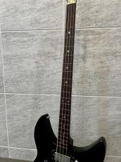 Honey Ricken Backer Type Hollow Body SG-5 Bass _4