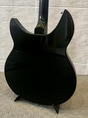 Honey Ricken Backer Type Hollow Body SG-5 Bass _8