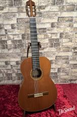 加納木魂 Kodama Kanoh 象徴 　杉・ローズウッド　_2