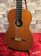 加納木魂 Kodama Kanoh 象徴 　杉・ローズウッド　_3