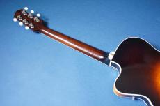 Stringphonic LeRoy SA-D_5