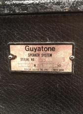 acoustic & Guyatone B-1 & BS-120_11