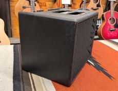 AER 【USED】Compact 60/3【定番アコースティックギターアンプ】_6